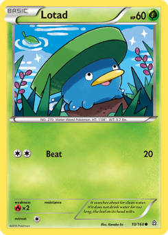 Lotad — Primal Clash 10/160
