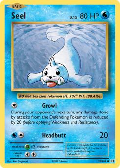 Seel — Evolutions 28/108