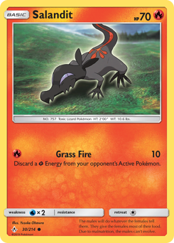 Salandit — Unbroken Bonds 30/214