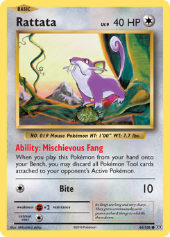 Rattata — Evolutions 66/108