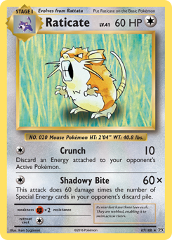 Raticate — Evolutions 67/108