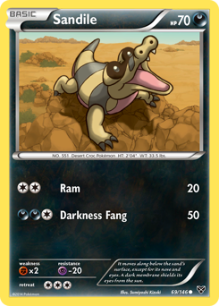 Sandile — XY 69/146