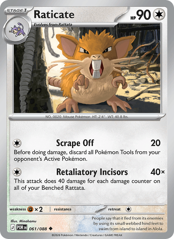 Raticate — Perfect Order 61/88