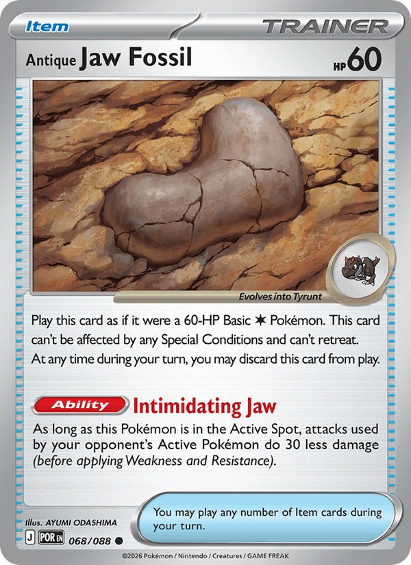 Antique Jaw Fossil — Perfect Order 68/88