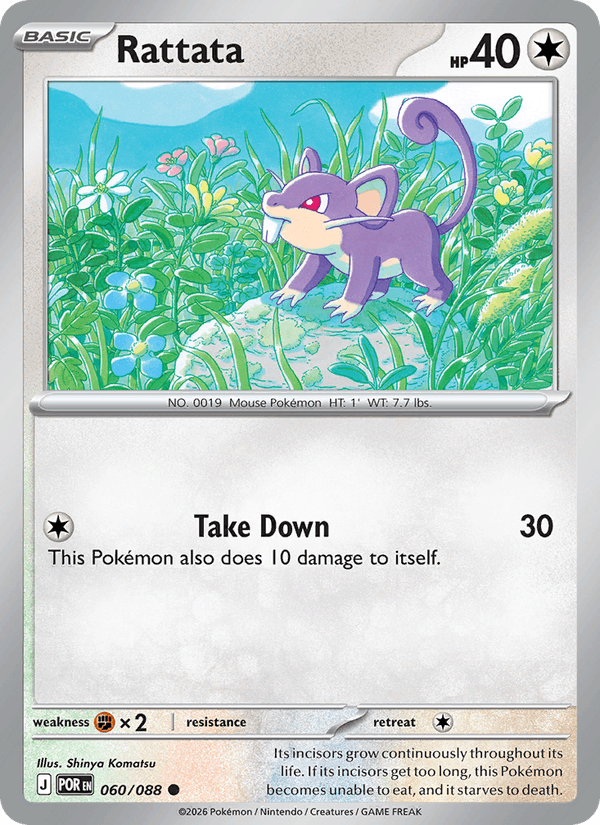 Rattata — Perfect Order 60/88